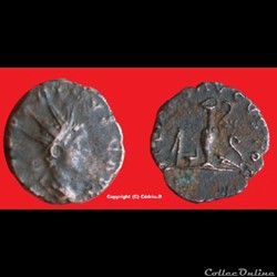 TETRICVS II PIETAS AVGUSTOR