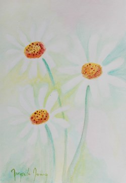 Les marguerites 2 2019