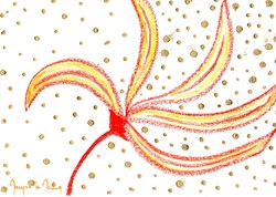 Coquelicot 4