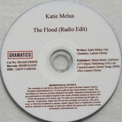 The Flood (promo 1 titre)