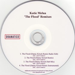 The Flood (promo 4 remixes)