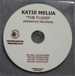 The Flood (promo 4 remixes)