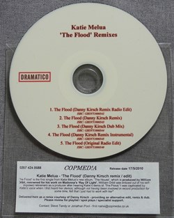 The Flood (promo 5 remixes)