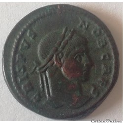 CRISPUS 769 Centenionalis
