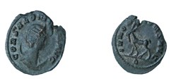 SALONINE