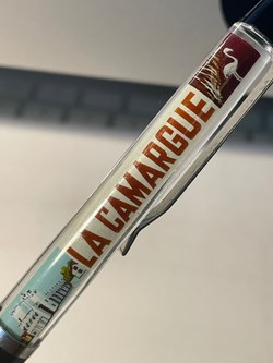 La camargue (taureaux dans l’eau)