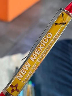 NEW MEXICO land of enchantment