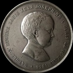 Médaille Napoléon Eugène Louis Jean Joseph Né a Paris Le 16 Mars 1856