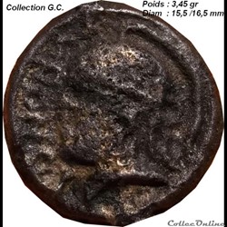Bronze Turonos cantorix