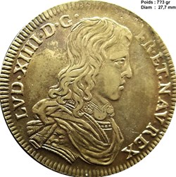 jeton Louis XIV