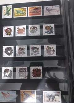 Collection des timbres