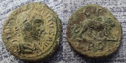 235-238 Maximinus I, lion, AE19