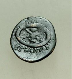 Mesembria AE19