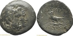 Mostidos AE21 Zeus and Hera, eagle