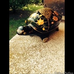 Tortue boîte