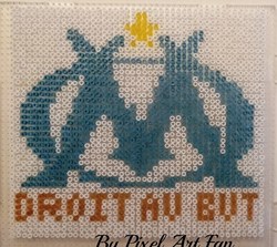31 - Logo O.M