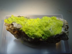 Autunite