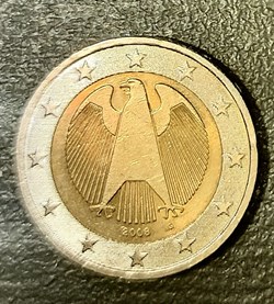 aigle 2008 (g)