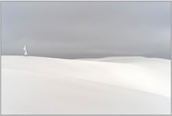 LOT 24 PARADIS BLANC II - JEREMY DE BACKER - Prix de départ:8500 euros