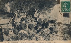"Cueillette des Immortelles, Fabrication des Bouquets"