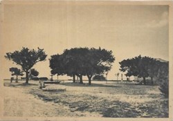 M9 "Place Saint Sébastien"
