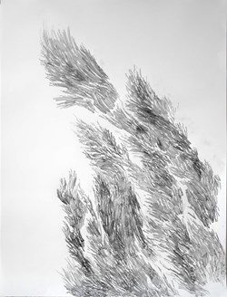 Foison - IV