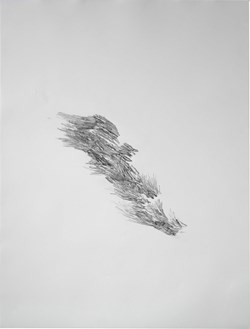 Foison - II
