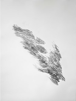Foison - III