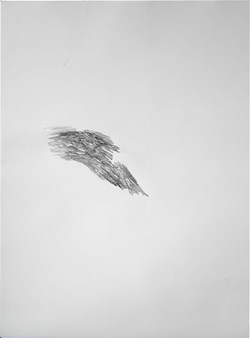 Foison - I