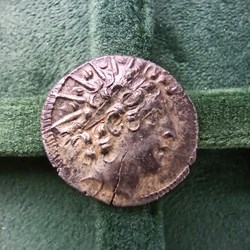 [Séleucide] Drachme