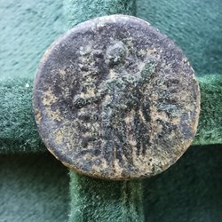 [Lucania] Bronze