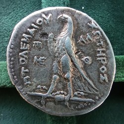 [Lagide] Tetradrachme