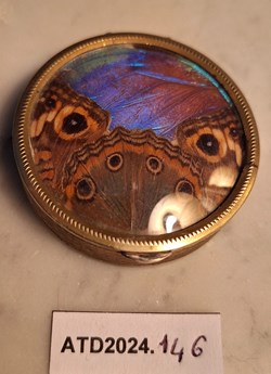 ATD2024.146 Poudrier Péguy Butterfly