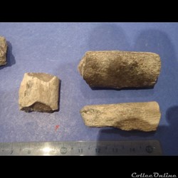 Fragments d'os indéterminés