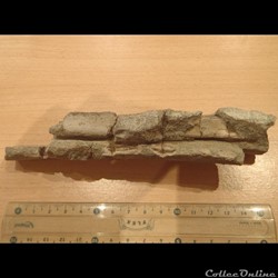Fragments d'os indéterminé
