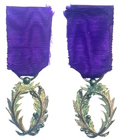 Médaille de chevalier de l'ordre des Palmes académiques