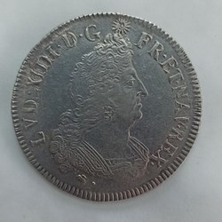 Louis XIV 1/2 aux palmes 1693D