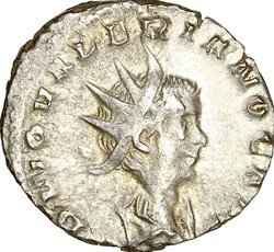 Antoninien de Valérien II divinisé, Aigle, 258-259, Cologne