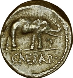 Denarius of Julius Caesar, Elephant, 49 AC., military mint