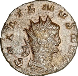 Antoninien de Gallien, Chèvre, 267-268, Rome