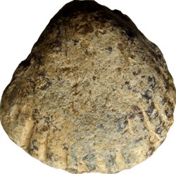 Aes formatum with shell form, VIe - IIIe s. AC.