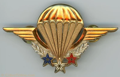 Wings - Parachutiste Militaire - France