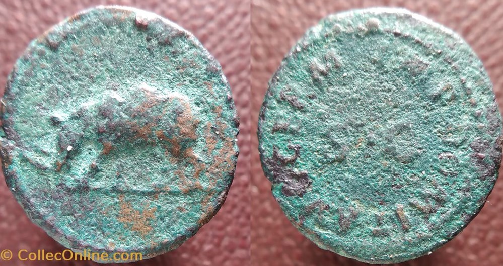 Quand la numismatique éclaire la littérature latine. Le rhinocéros de Domitien et Martial quand la numismatique eclaire la litterature latine le rhinoceros de domitien et martial