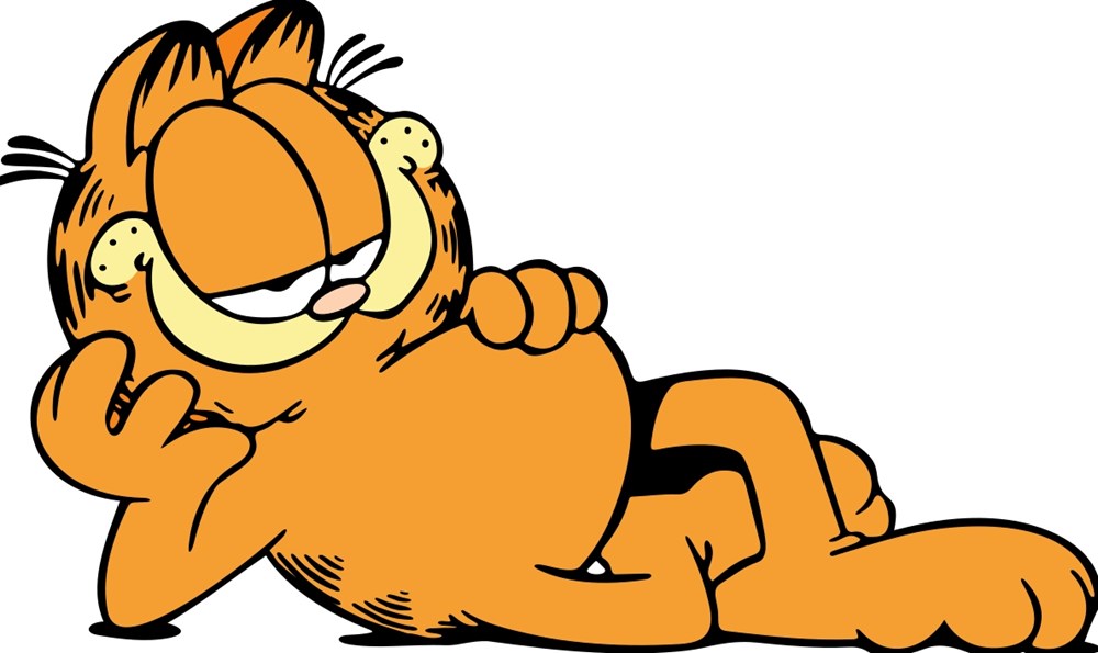 Garfield Quiz garfield quiz