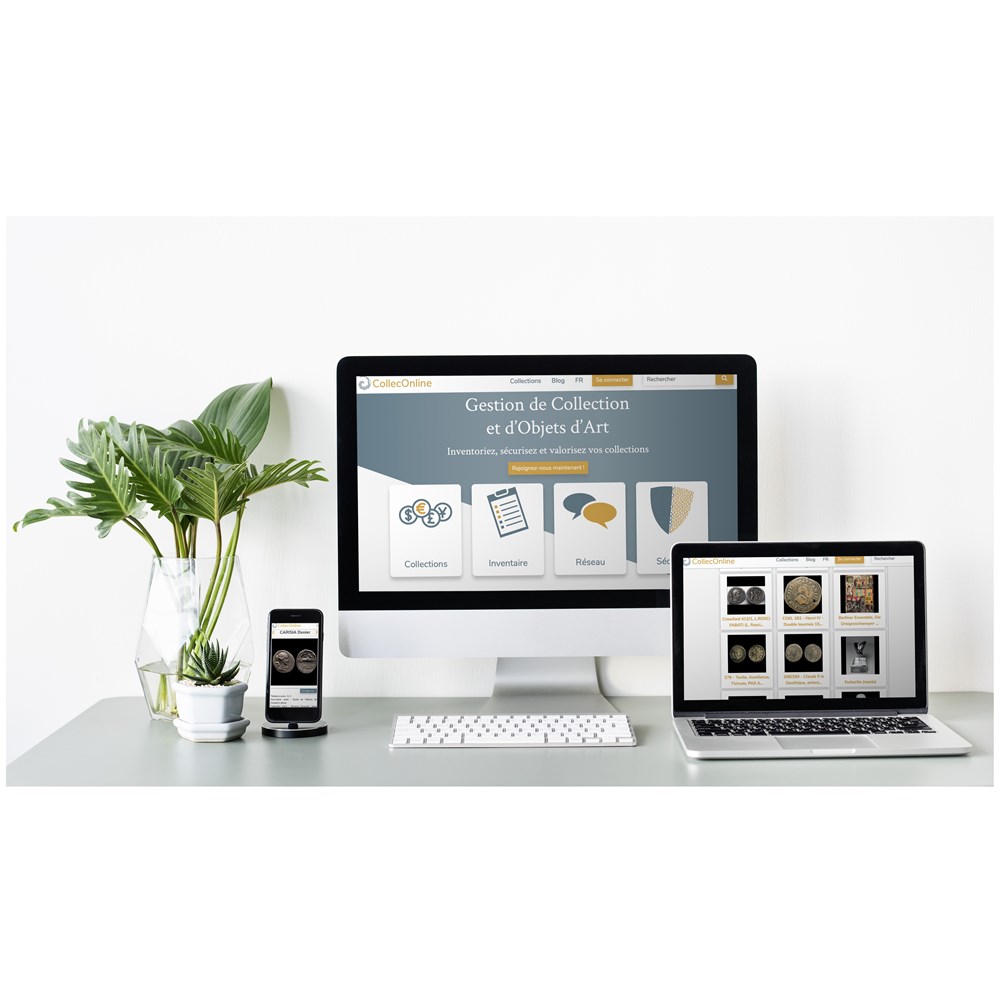 Come inventariare la tua collezione? Pro e contro e soluzioni e strumenti digitali come inventariare la tua collezione pro e contro e soluzioni e strumenti digitali