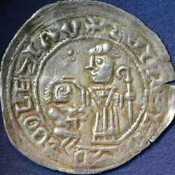 polonus