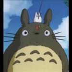 Totoro91