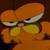 huntingforgarfield