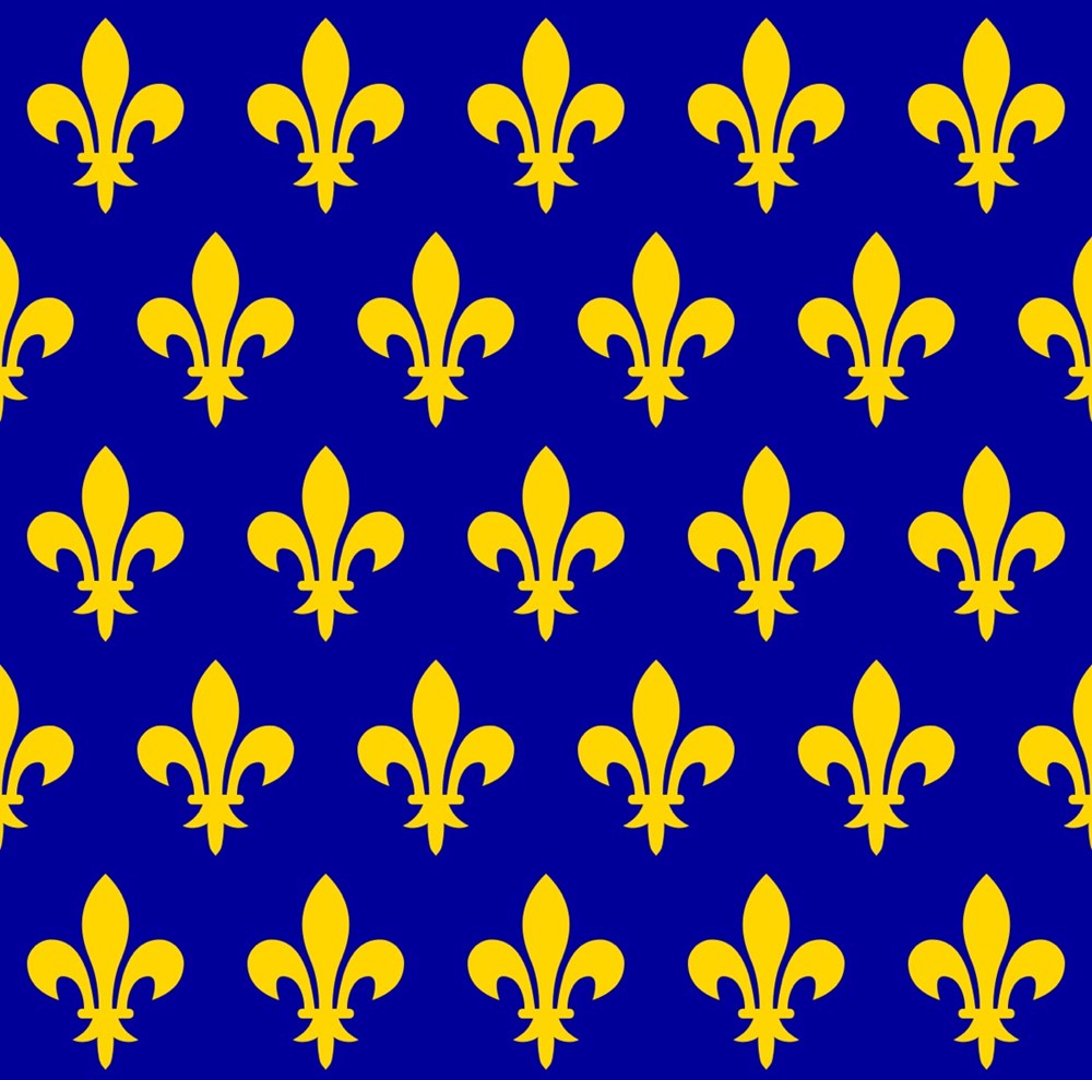  Le royaume de France est le nom historiographique donn&eacute; &agrave; diff&eacute;rentes entit&eacute;s politiques de la France au Moyen &Acirc;ge et &agrave; l'&eacute;poque moderne. Selon les historiens, la date de...