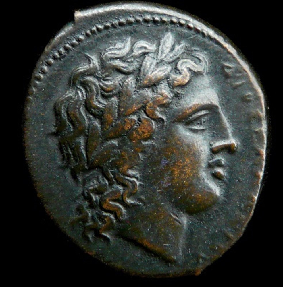 Grece antique Quelques monnaies grecques, glanées au fil des ans, depuis une quarantaine d'années tout de même....